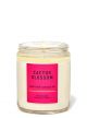 BATH & BODY WORKS CACTUS BLOSSOM SINGLE WICK CANDLE 