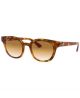 Ray Ban 0RB4324 647551 50 YELLOW LIGHT HAVANA CLEAR GRADIENT BROWN Injected Unisex size 50 sunglasses