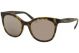Armani Exchange 0AX4094S 80374Z 54 HAVANA GREY MIRROR ROSE GOLD Injected Woman size 54 sunglasses
