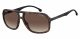 Carrera  sunglasses For Him with a HAVANA frame and BROWN SHADED POLARIZED lens with a lens width of 61mm and model number Carrera 8035/S