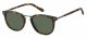 Fossil  sunglasses For Him with a MATTE HAVANA frame and GREEN lens with a lens width of 51mm and model number FOS 2099/G/S