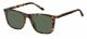 Fossil  sunglasses For Him with a MATTE HAVANA frame and GREEN lens with a lens width of 53mm and model number FOS 3100/S