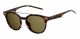 Polaroid  brand UNISEX sunglasses with a BROWN HAVANA frame and BROWN POLARIZED lens with a lens width of 51mm and model number PLD 1023/S